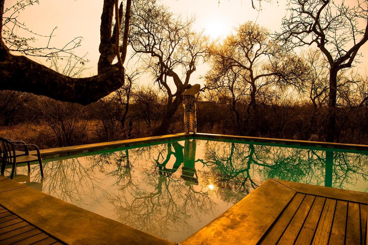 Safari Moon Luxury Bush 5*